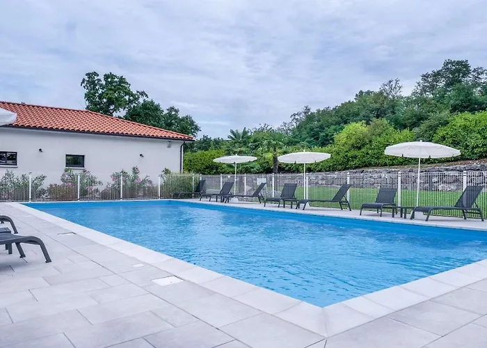 Brit Privilege Фижак